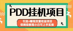 拼多多挂机项目 引流+赚钱双重收益项目(保姆级教程小白可上手实操)-优创项目网