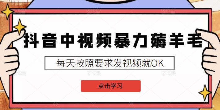 2022抖音中视频暴力薅羊毛白嫖项目：新号每天20块，老号几天几百块，可多号￼-优创项目网