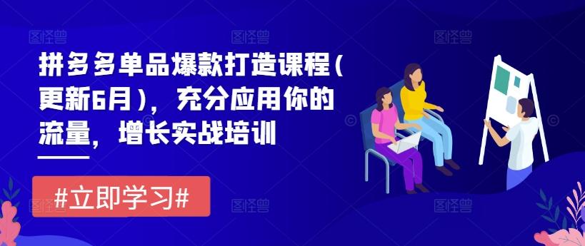 拼多多单品爆款打造课程(更新6月)，充分应用你的流量，增长实战培训-优创项目网
