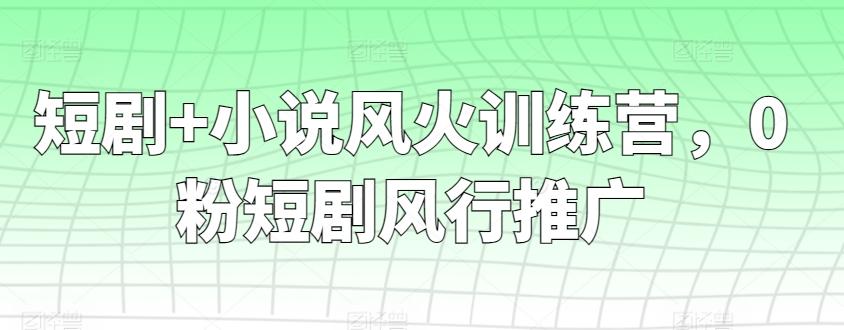 短剧+小说风火训练营，0粉短剧风行推广-优创项目网