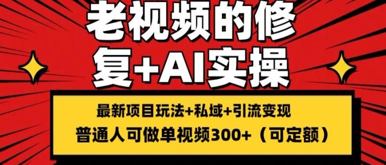 修复老视频的玩法，搬砖+引流的变现(可持久)，单条收益300+【揭秘】-优创项目网