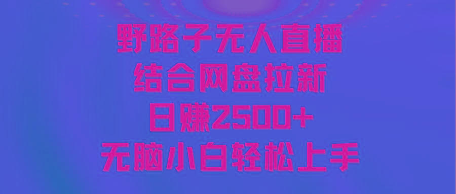 无人直播野路子结合网盘拉新，日赚2500+多平台变现，小白无脑轻松上手操作-优创项目网
