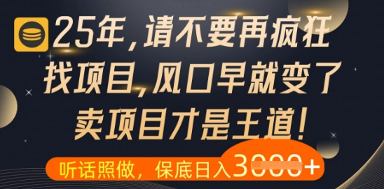什么？25年你还在疯狂找项目做，醒醒吧，看完这些你全都懂了【揭秘】-优创项目网
