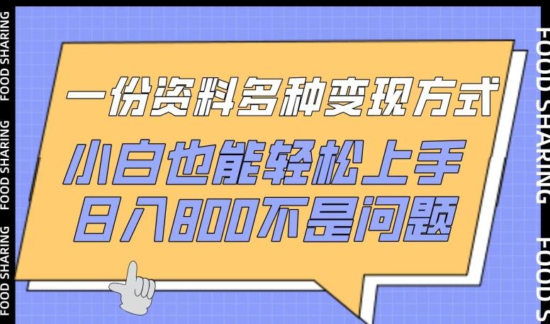一份资料多种变现方式，小白也能轻松上手，日入800不是问题【揭秘】-优创项目网