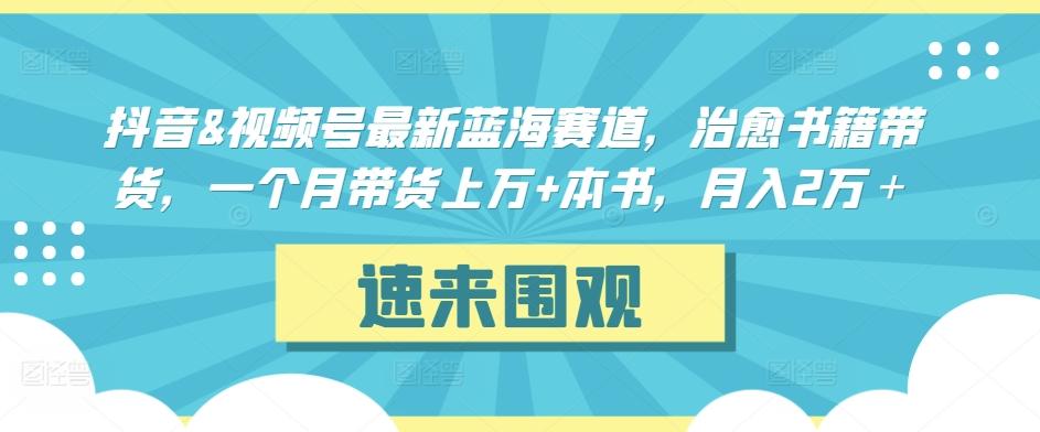 抖音&视频号最新蓝海赛道，治愈书籍带货，一个月带货上万+本书，月入2万＋【揭秘】-优创项目网