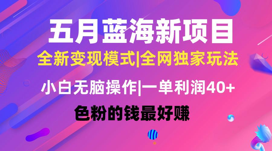 五月蓝海项目全新玩法，小白无脑操作，一天几分钟，矩阵操作，月入4万+-优创项目网