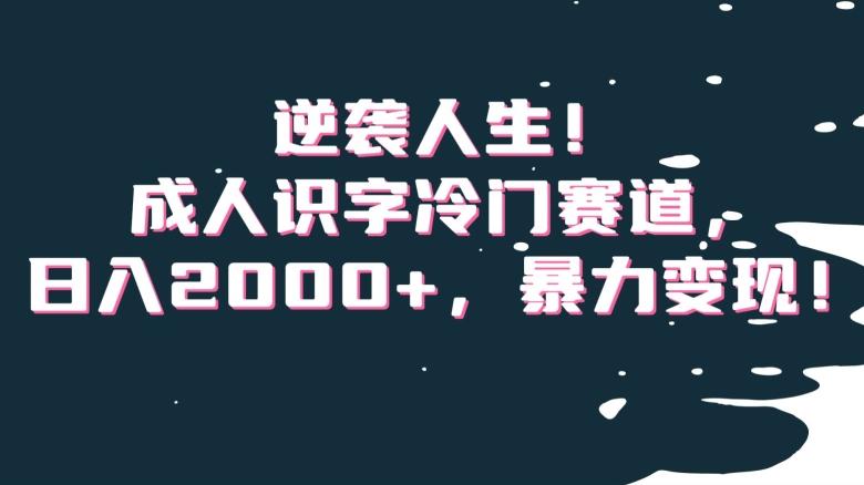 逆袭人生！成人识字冷门赛道，日入2000+，暴力变现！【揭秘】-优创项目网