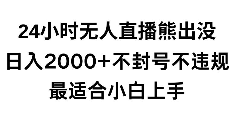 快手24小时无人直播熊出没，不封直播间，不违规，日入2000+，最适合小白上手，保姆式教学【揭秘】-优创项目网