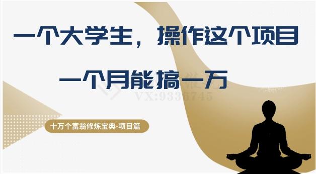 十万个富翁修炼宝典之4.一个大学生操作这个项目，一个月能搞一万-优创项目网