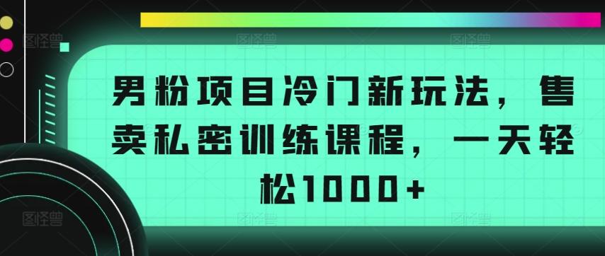 男粉项目冷门新玩法，售卖私密训练课程，一天轻松1000+【揭秘】-优创项目网