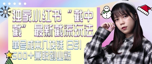 最新小红书截流玩法 独家截中截 单号成本几块钱 日引500+CY粉JZ粉-优创项目网