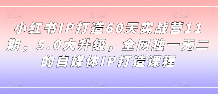 小红书IP打造60天实战营11期，5.0大升级，全网独一无二的自媒体IP打造课程-优创项目网