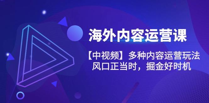 海外内容 运营课【中视频】多种内容运营玩法 风口正当时 掘金好时机-101节-优创项目网