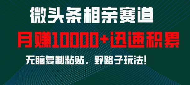 微头条相亲赛道，迅速积累，无脑复制粘贴，野路子玩法，月入1w-优创项目网
