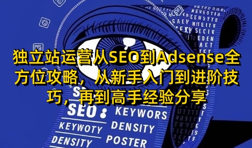 独立站运营从SEO到Adsense全方位攻略，从新手入门到进阶技巧，再到高手经验分享-优创项目网