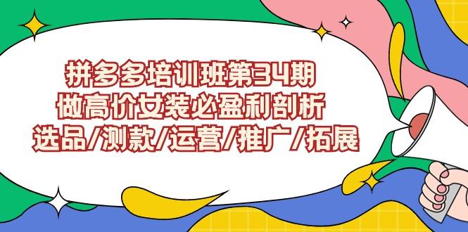 (9333期)拼多多培训班第34期：做高价女装必盈利剖析  选品/测款/运营/推广/拓展-优创项目网