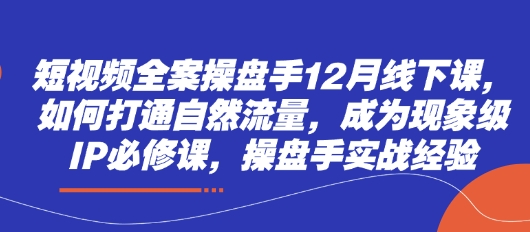 短视频全案操盘手12月线下课，如何打通自然流量，成为现象级IP必修课，操盘手实战经验-优创项目网