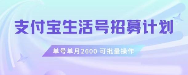 支付宝生活号作者招募计划，单号单月2600，可批量去做，工作室一人一个月轻松1w+【揭秘】-优创项目网