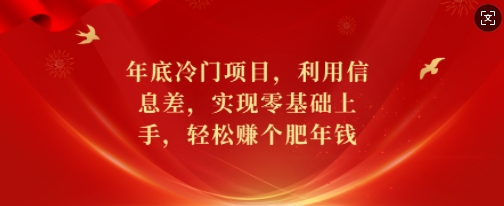 年底冷门项目，利用信息差，实现零基础上手，轻松赚个肥年钱【揭秘】-优创项目网