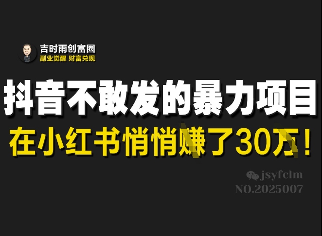 抖音不敢发的暴利项目，在小红书悄悄挣了30W-优创项目网