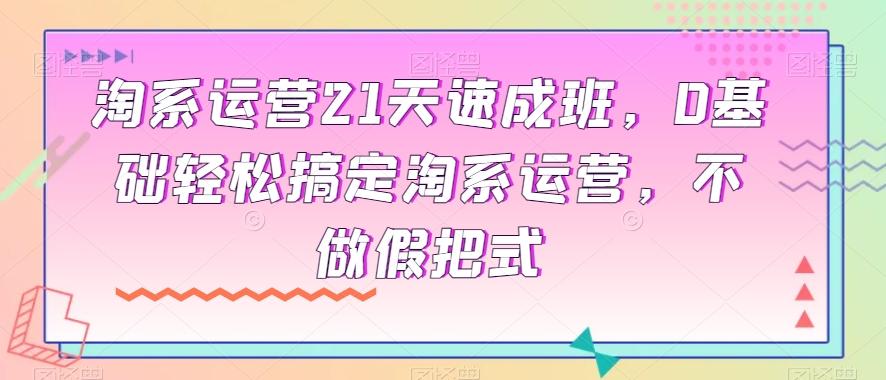 淘系运营21天速成班，0基础轻松搞定淘系运营，不做假把式-优创项目网