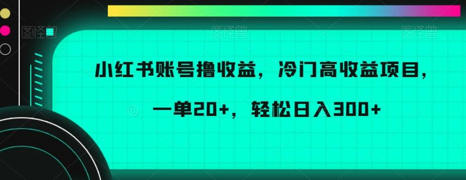 小红书账号撸收益，冷门高收益项目，一单20+，轻松日入300+【揭秘】-优创项目网