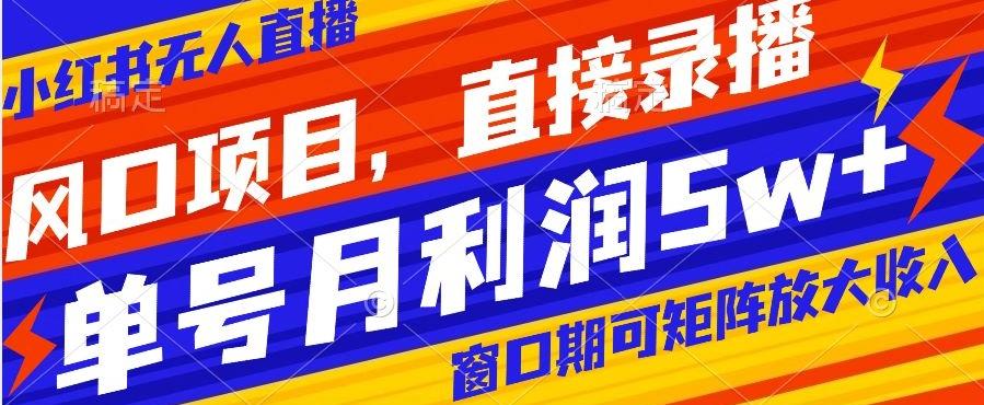 风口项目，小红书无人直播带货，直接录播，可矩阵，月入5w+【揭秘】-优创项目网