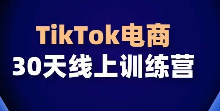 TikTok电商带货30天线上课，不可错过的全球流量洼地！-优创项目网