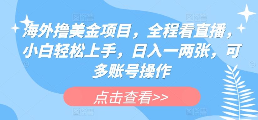 海外撸美金项目，全程看直播，小白轻松上手，日入一两张，可多账号操作【揭秘】-优创项目网