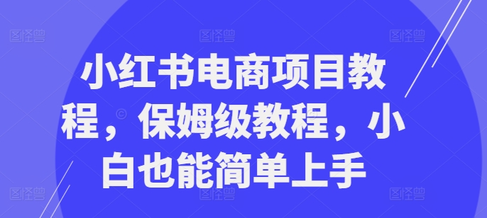 小红书电商项目教程，保姆级教程，小白也能简单上手-优创项目网