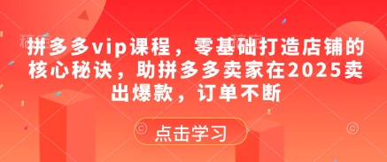拼多多vip课程，零基础打造店铺的核心秘诀，助拼多多卖家在2025卖出爆款，订单不断-优创项目网