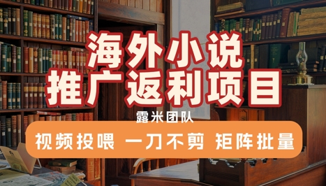 海外小说推广返利项目，视频投喂， 一刀不剪，矩阵批量-优创项目网