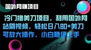 冷门撸美刀项目，利用国外网站刷视频，轻松日入80+美刀，可放大操作，小白随便上手-优创项目网