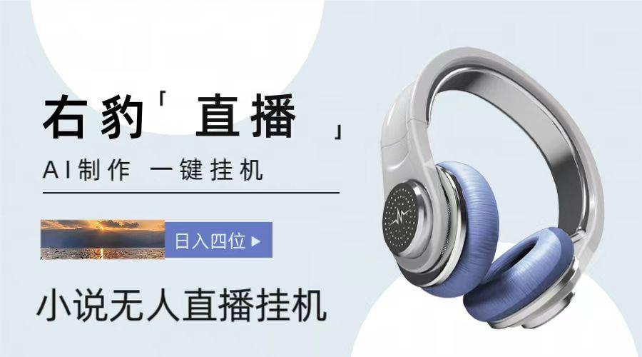 右豹小说无人直播挂机吸金项目，简单易行收益稳定， 月入1000+-优创项目网