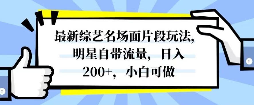 最新综艺名场面片段玩法，明星自带流量，日入200+，小白可做【揭秘】-优创项目网