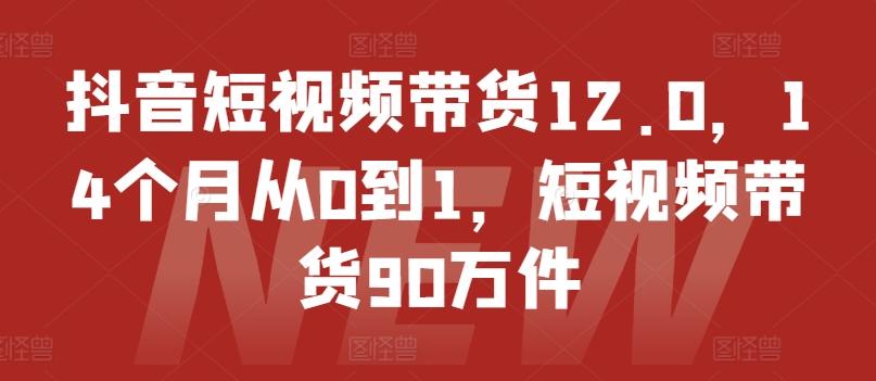 抖音短视频带货12.0，14个月从0到1，短视频带货90万件-优创项目网