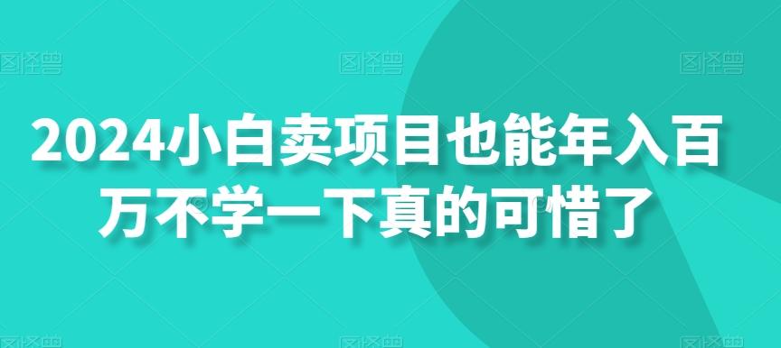 2024小白卖项目也能年入百万不学一下真的可惜了-优创项目网