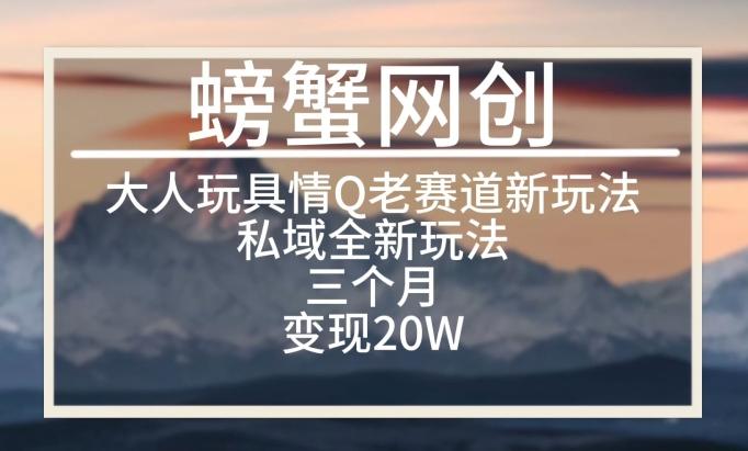 大人玩具情Q用品赛道私域全新玩法，三个月变现20W，老项目新思路【揭秘】-优创项目网