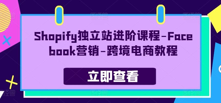 Shopify独立站进阶课程-Facebook营销-跨境电商教程-优创项目网