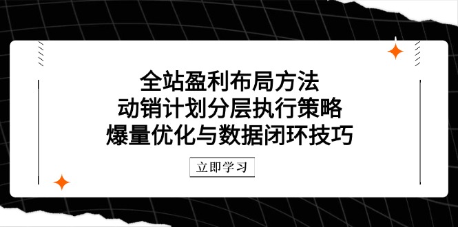 全站盈利布局方法：动销计划分层执行策略，爆量优化与数据闭环技巧-优创项目网