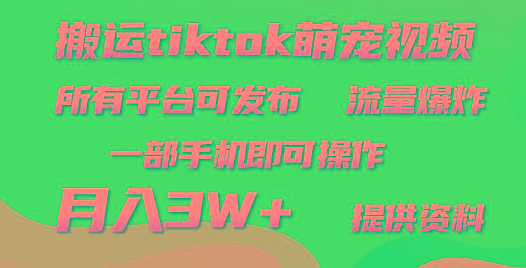(9618期)搬运Tiktok萌宠类视频，一部手机即可。所有短视频平台均可操作，月入3W+-优创项目网