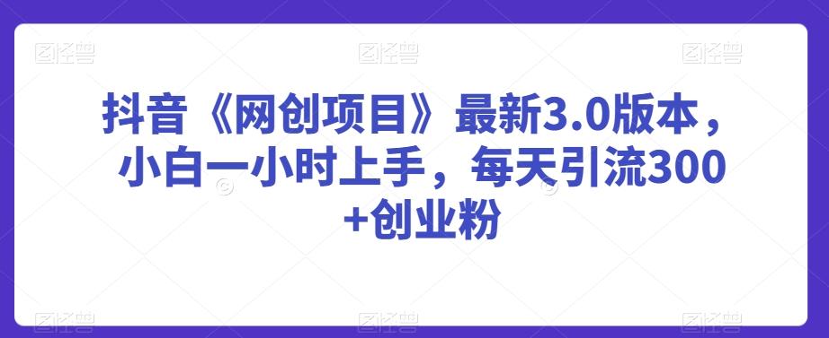 抖音《网创项目》最新3.0版本，小白一小时上手，每天引流300+创业粉【揭秘】-优创项目网