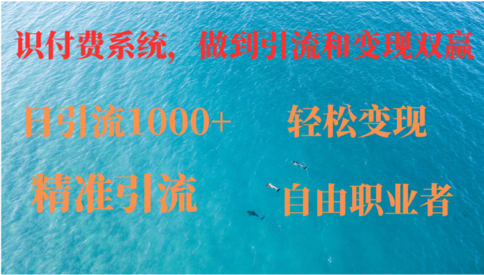 如何搭建自己的知识付费系统，做到引流和变现双赢-优创项目网