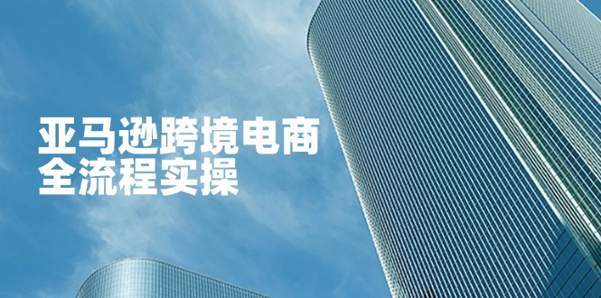 亚马逊跨境电商全流程实操，教你从零开始，掌握店铺运营与广告技巧-优创项目网