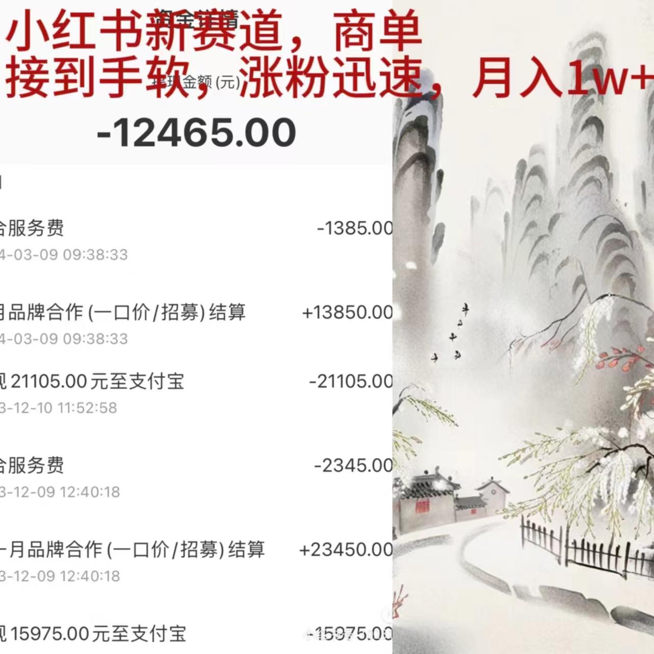 (9476期)小红书新赛道，商单接到手软，涨粉迅速，月入1w+-优创项目网