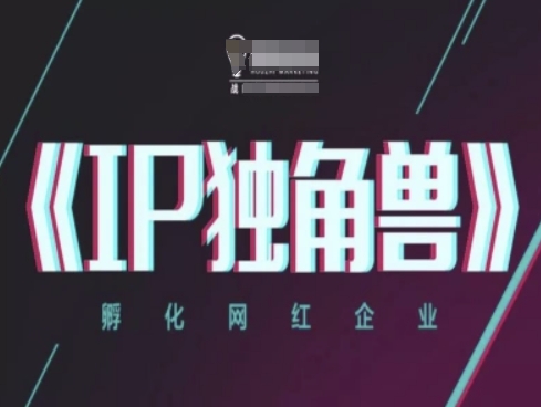 IP独角兽，孵化网红企业，ip教程-优创项目网