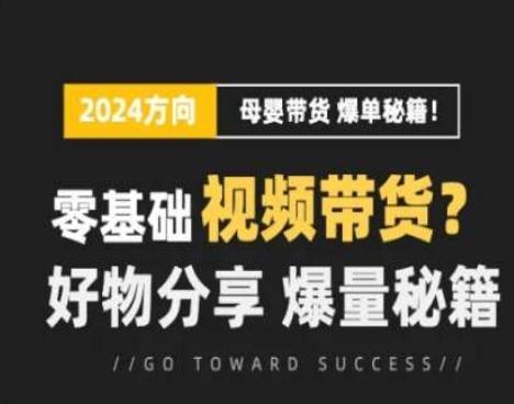 短视频母婴赛道实操流量训练营，零基础视频带货，好物分享，爆量秘籍-优创项目网