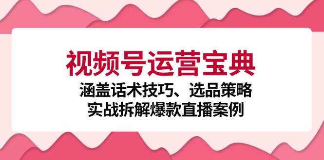 视频号运营宝典：涵盖话术技巧、选品策略、实战拆解爆款直播案例-优创项目网