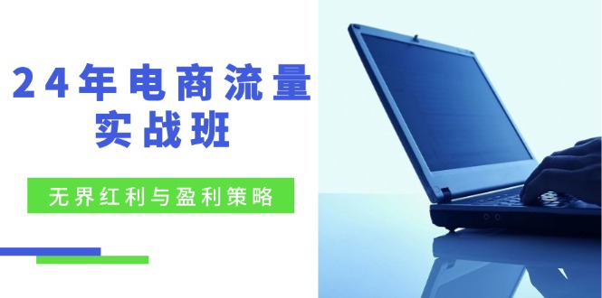 24年电商流量实战班：无界 红利与盈利策略，终极提升/关键词优化/精准…-优创项目网