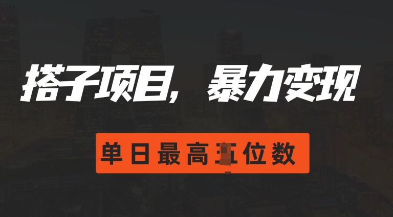 2024搭子玩法，0门槛，暴力变现，单日最高破四位数【揭秘】-优创项目网